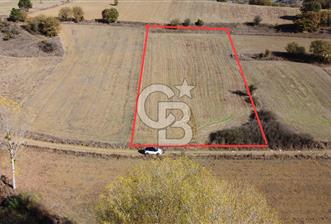 BOLU MUDURNU ÖRENCİK'TE ABANT'A 12 DK | %5 İMARLI 5.170 m² - 8 - 372158