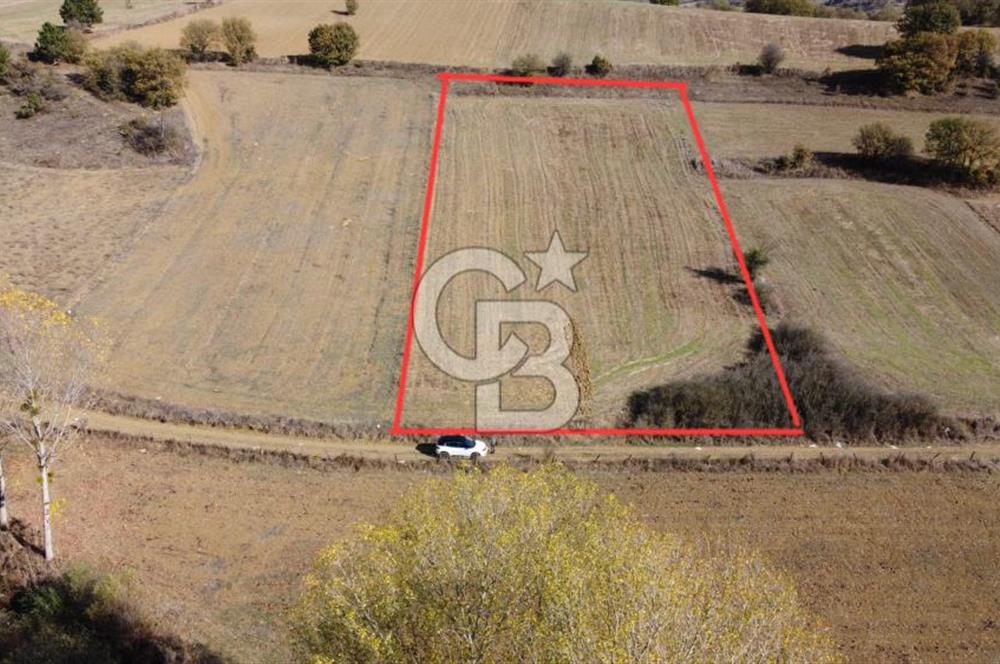 BOLU MUDURNU ÖRENCİK'TE ABANT'A 12 DK | %5 İMARLI 5.170 m²