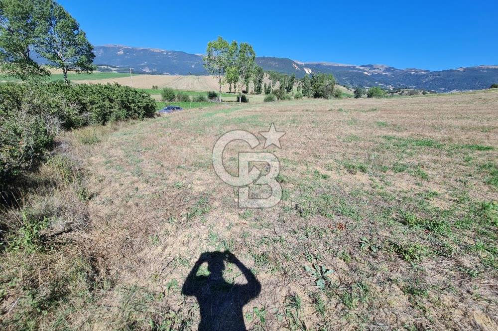 BOLU MUDURNU ÖRENCİK'TE ABANT'A 12 DK | %5 İMARLI 5.170 m²