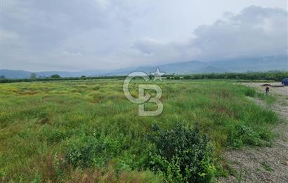 ŞEYHVARMAZDA 3.900 m² | SANAYİ İMARINA SINIR | FİYAT DÜŞTÜ!