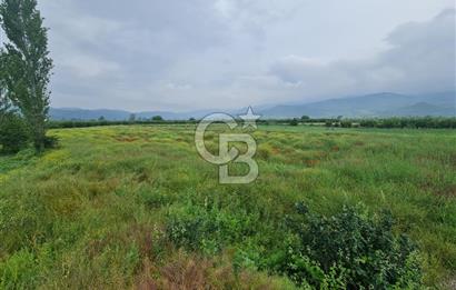 ŞEYHVARMAZDA 3.900 m² | SANAYİ İMARINA SINIR | FİYAT DÜŞTÜ!