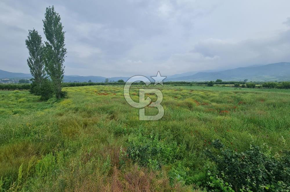 SAKARYA SÖĞÜTLÜ İMAMLAR 1980 M2 ASFALTA CEPHE SATILIK ARAZİ