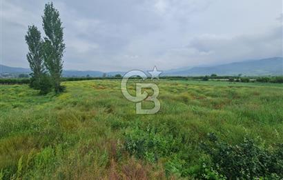 SAKARYA SÖĞÜTLÜ İMAMLAR 1980 M2 ASFALTA CEPHE SATILIK ARAZİ