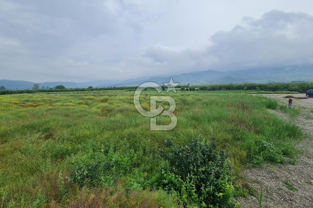 SAKARYA SÖĞÜTLÜ İMAMLAR 1980 M2 ASFALTA CEPHE SATILIK ARAZİ