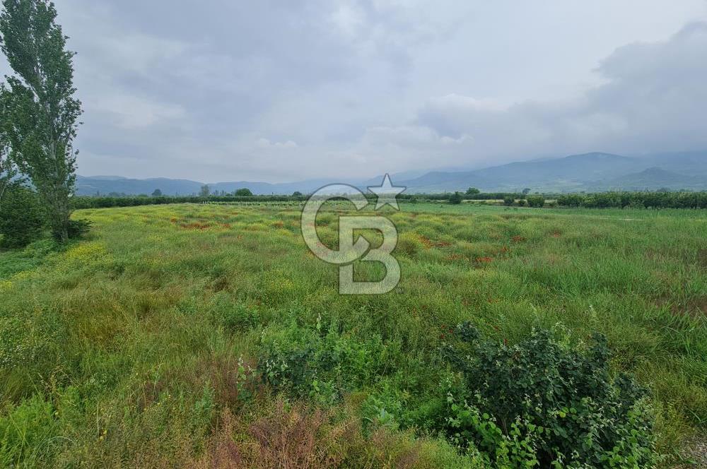 SAKARYA SÖĞÜTLÜ İMAMLAR 1980 M2 ASFALTA CEPHE SATILIK ARAZİ