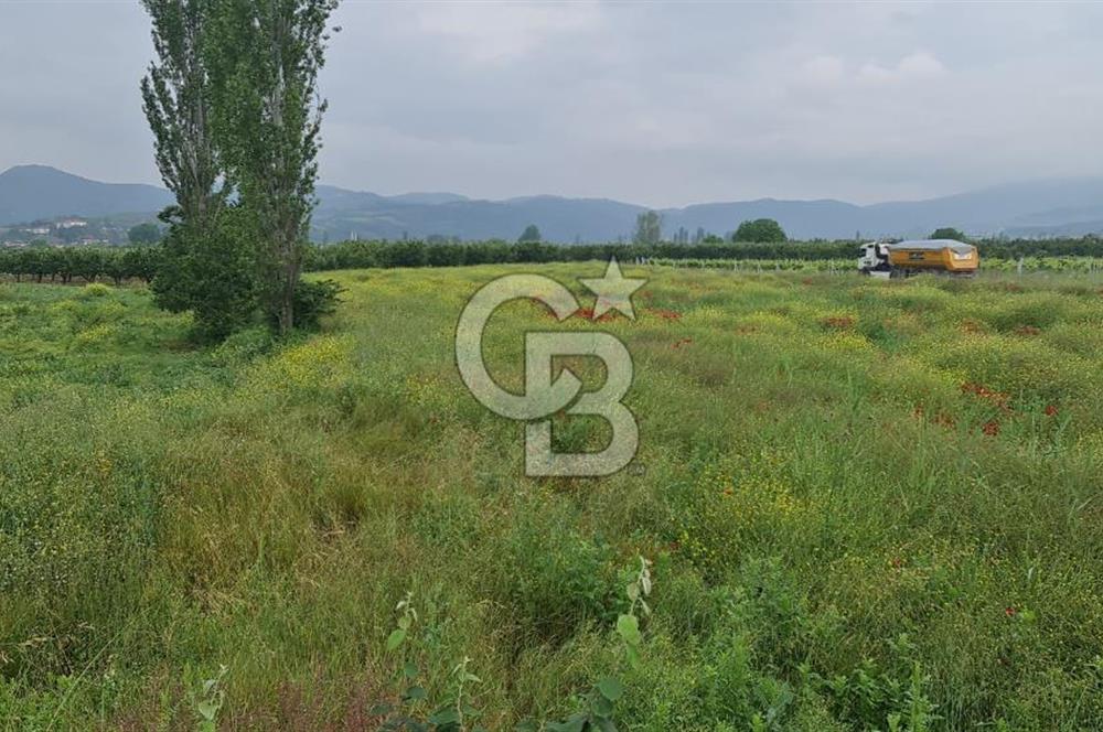 SAKARYA SÖĞÜTLÜ İMAMLAR 1980 M2 ASFALTA CEPHE SATILIK ARAZİ