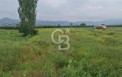 SAKARYA SÖĞÜTLÜ İMAMLAR 1980 M2 ASFALTA CEPHE SATILIK ARAZİ