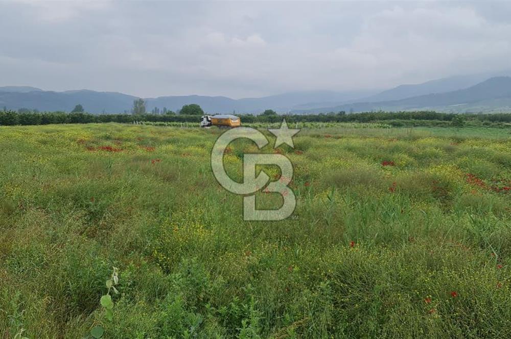SAKARYA SÖĞÜTLÜ İMAMLAR 1980 M2 ASFALTA CEPHE SATILIK ARAZİ
