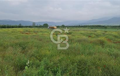 SAKARYA SÖĞÜTLÜ İMAMLAR 1980 M2 ASFALTA CEPHE SATILIK ARAZİ