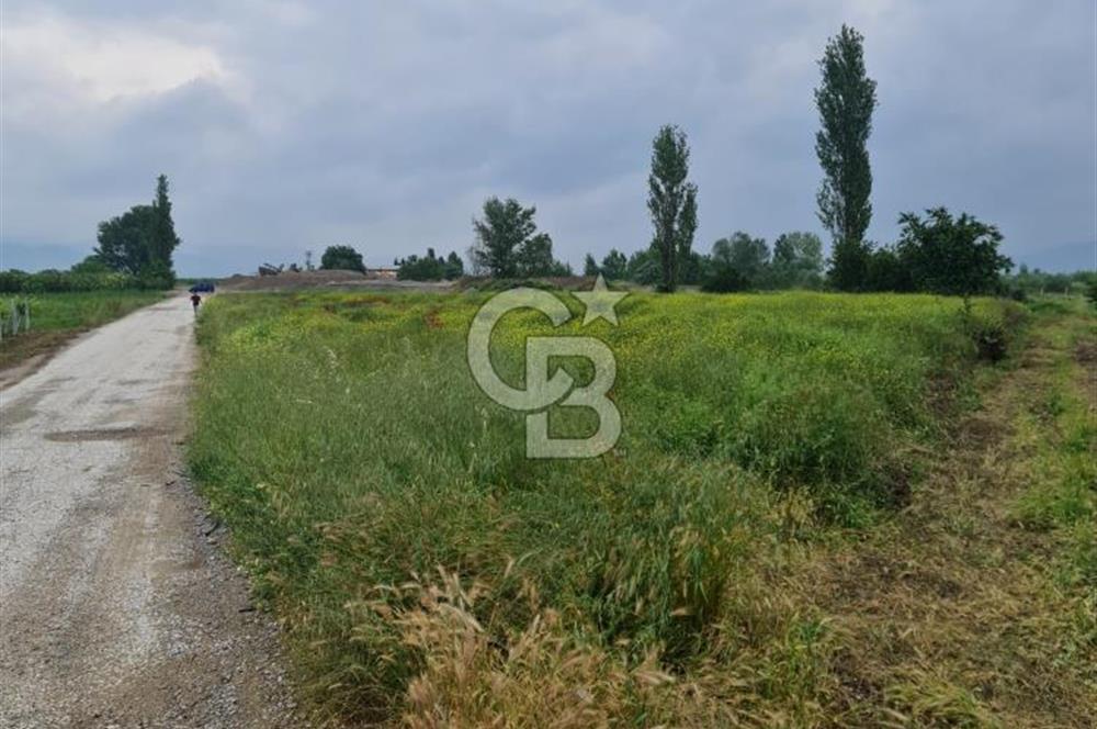 SAKARYA SÖĞÜTLÜ İMAMLAR 1980 M2 ASFALTA CEPHE SATILIK ARAZİ