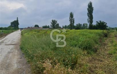 SAKARYA SÖĞÜTLÜ İMAMLAR 1980 M2 ASFALTA CEPHE SATILIK ARAZİ