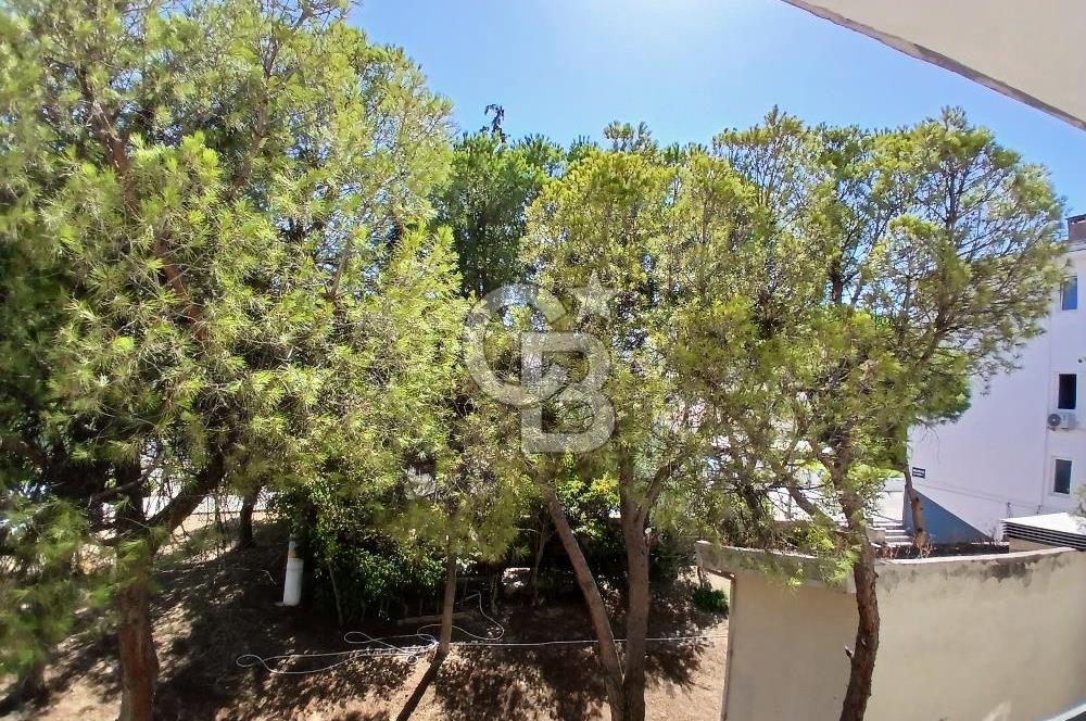 Güzelyalıda Kiralık 2+1 Merkezi Konumlu Aydınlık Daire