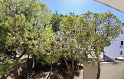 Güzelyalıda Kiralık 2+1 Merkezi Konumlu Aydınlık Daire