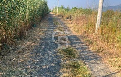 ORTACA TEPEARASI 119 ADA 2 PARSELDE 2 ADET 300 M² KOOPERATİF HİSSESİ
