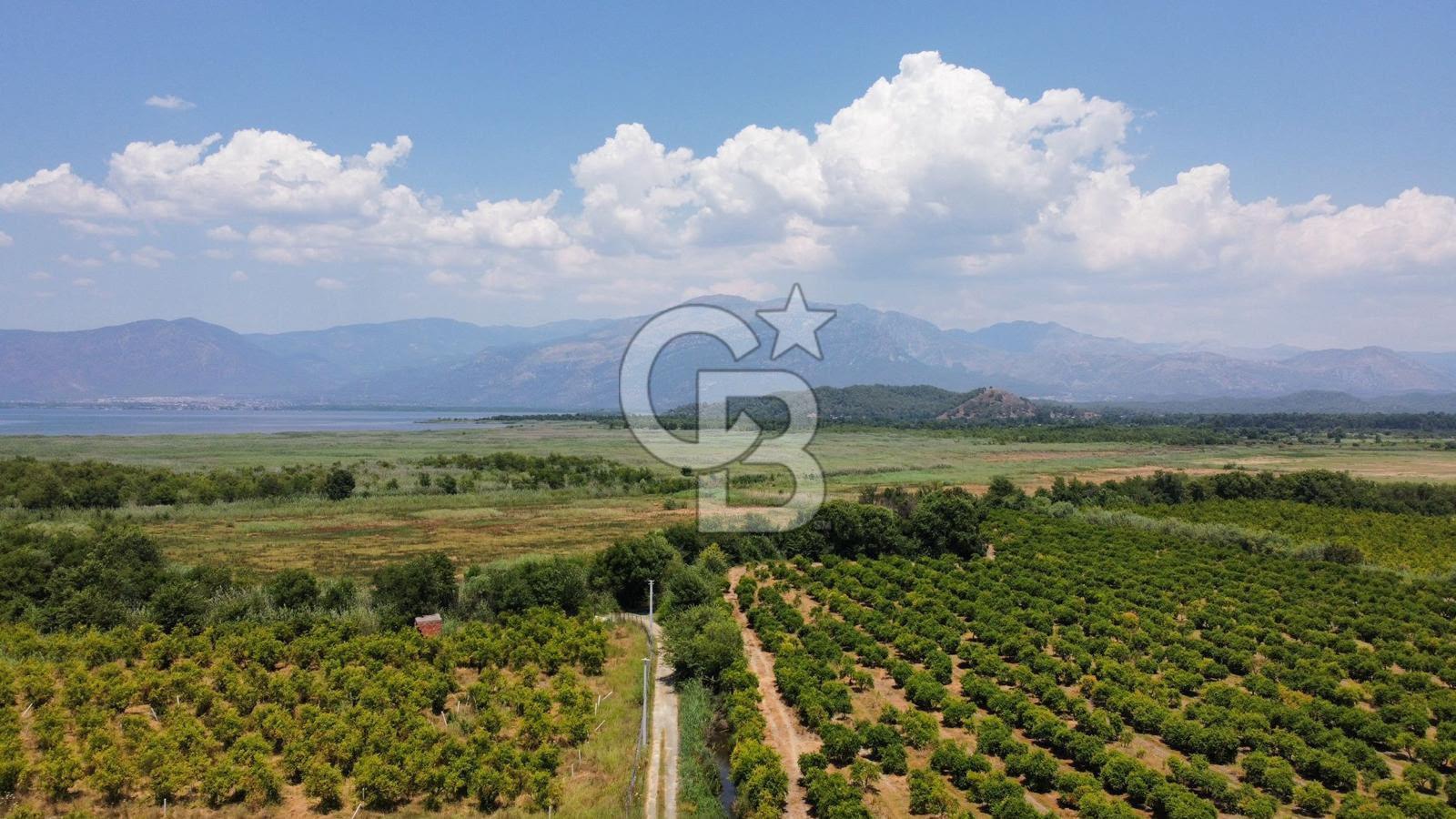 ORTACA TEPEARASI 119 ADA 2 PARSELDE 2 ADET 300 M² KOOPERATİF HİSSESİ