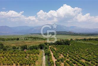 ORTACA TEPEARASI 119 ADA 2 PARSELDE 2 ADET 300 M² KOOPERATİF HİSSESİ - 1 - 372210
