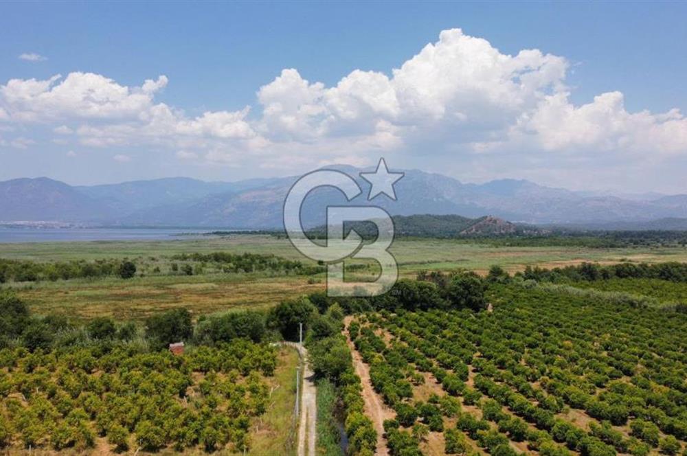 ORTACA TEPEARASI 119 ADA 2 PARSELDE 2 ADET 300 M² KOOPERATİF HİSSESİ