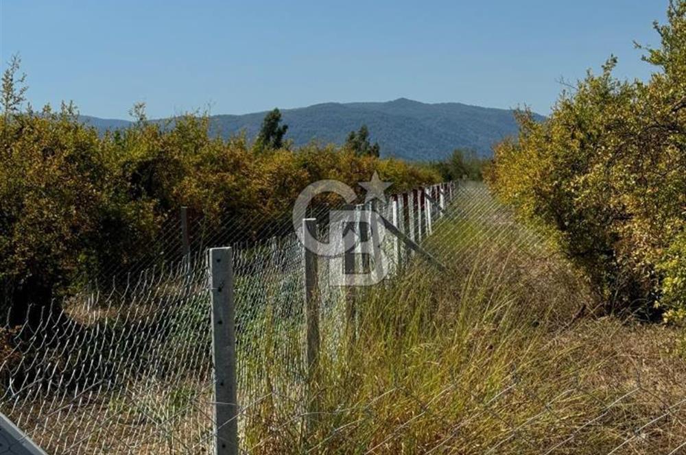 ORTACA TEPEARASI 119 ADA 2 PARSELDE 2 ADET 300 M² KOOPERATİF HİSSESİ