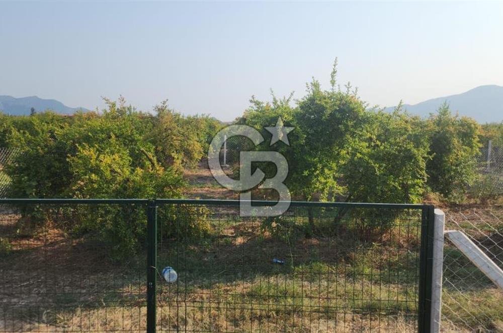 ORTACA TEPEARASI 119 ADA 2 PARSELDE 2 ADET 300 M² KOOPERATİF HİSSESİ