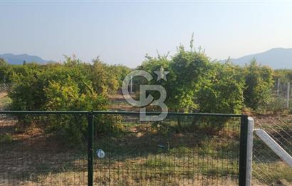 ORTACA TEPEARASI 119 ADA 2 PARSELDE 2 ADET 300 M² KOOPERATİF HİSSESİ