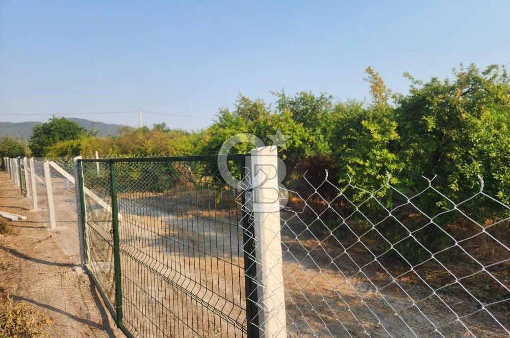 ORTACA TEPEARASI 119 ADA 2 PARSELDE 2 ADET 300 M² KOOPERATİF HİSSESİ
