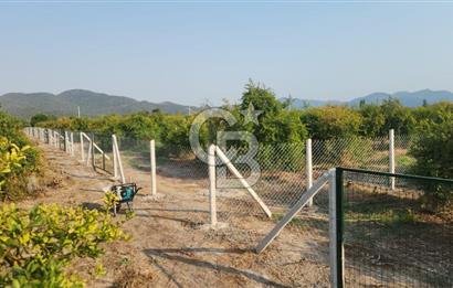 ORTACA TEPEARASI 119 ADA 2 PARSELDE 2 ADET 300 M² KOOPERATİF HİSSESİ