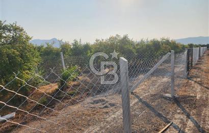 ORTACA TEPEARASI 119 ADA 2 PARSELDE 2 ADET 300 M² KOOPERATİF HİSSESİ
