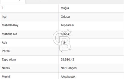 ORTACA TEPEARASI 119 ADA 2 PARSELDE 2 ADET 300 M² KOOPERATİF HİSSESİ
