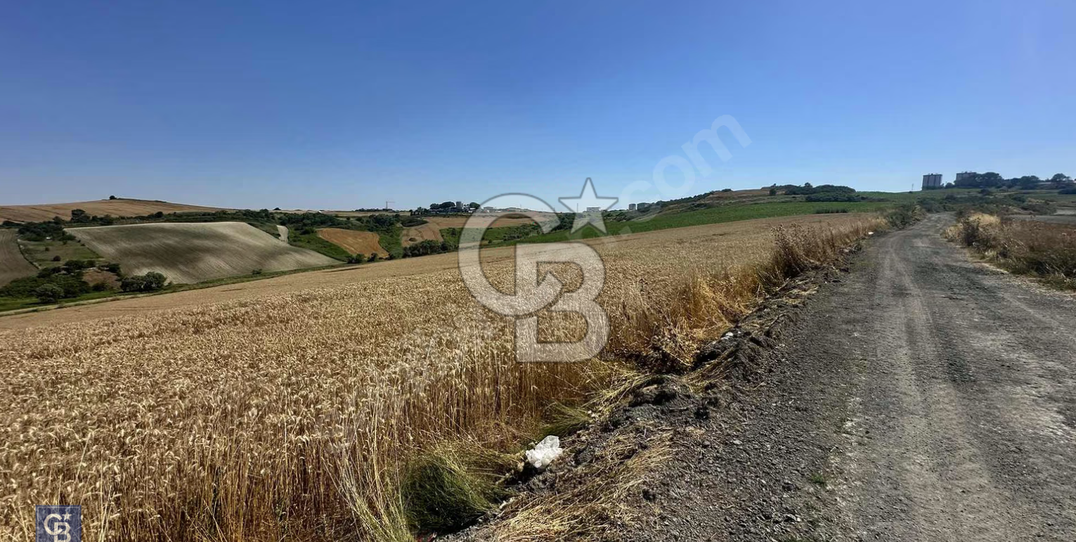 DURSUNKÖYDE SATILIK 500 metre² YATIRIMLIK ARSA