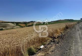 DURSUNKÖYDE SATILIK 500 metre² YATIRIMLIK ARSA - 1 - 372248