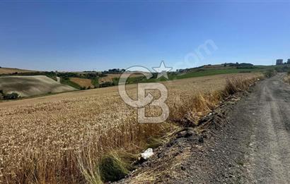 DURSUNKÖYDE SATILIK 500 metre² YATIRIMLIK ARSA