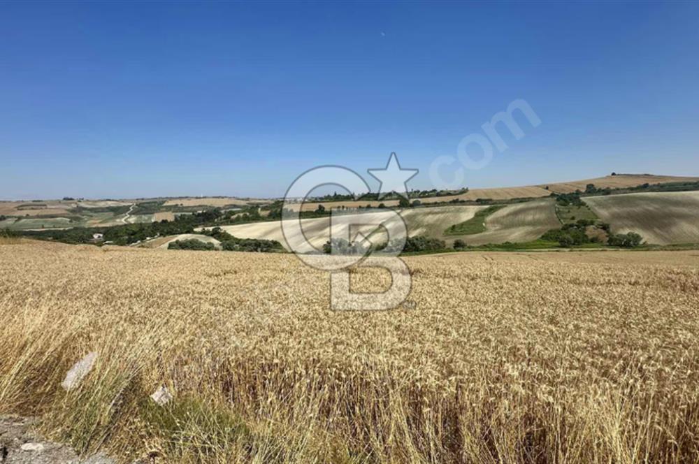 DURSUNKÖYDE SATILIK 500 metre² YATIRIMLIK ARSA