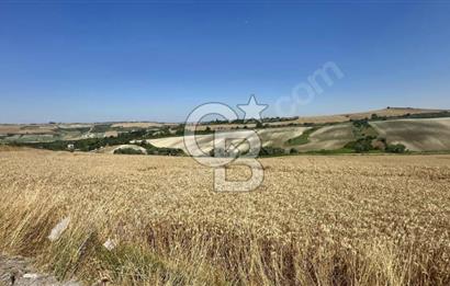 DURSUNKÖYDE SATILIK 500 metre² YATIRIMLIK ARSA