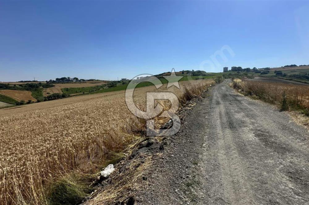 DURSUNKÖYDE SATILIK 500 metre² YATIRIMLIK ARSA