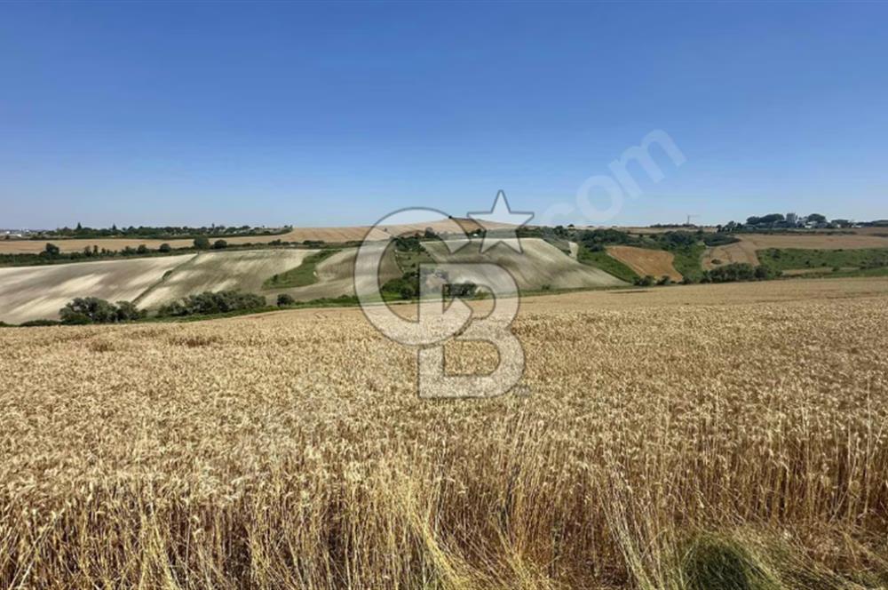 DURSUNKÖYDE SATILIK 500 metre² YATIRIMLIK ARSA
