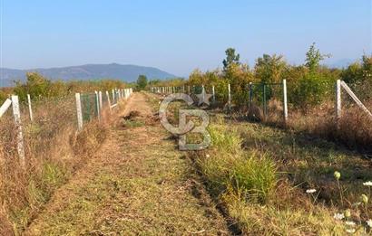 ORTACA TEPEARASI 119 ADA 2 PARSELDE 2 ADET 300 M² KOOPERATİF HİSSESİ