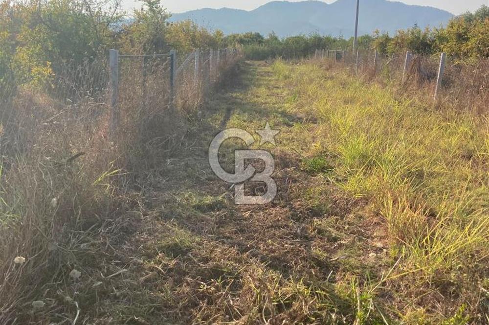 ORTACA TEPEARASI 119 ADA 2 PARSELDE 2 ADET 300 M² KOOPERATİF HİSSESİ