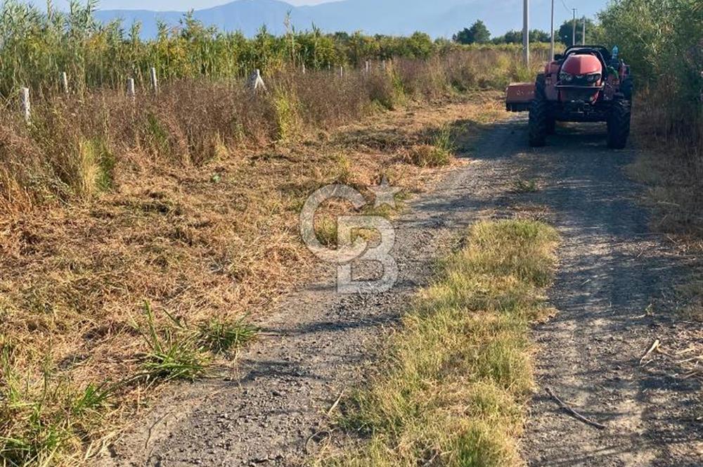 ORTACA TEPEARASI 119 ADA 2 PARSELDE 2 ADET 300 M² KOOPERATİF HİSSESİ