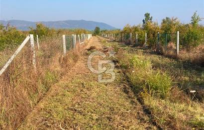 ORTACA TEPEARASI 119 ADA 2 PARSELDE 2 ADET 300 M² KOOPERATİF HİSSESİ