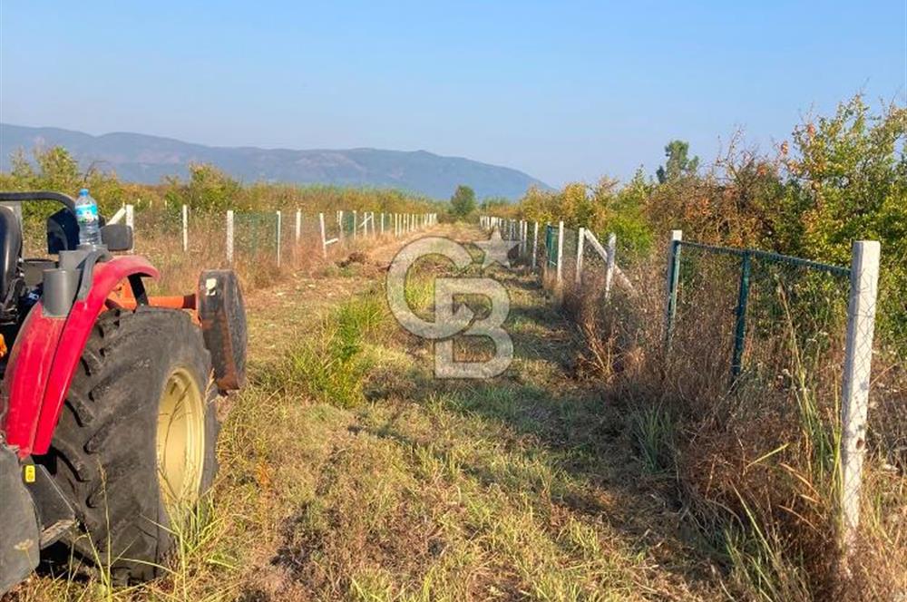 ORTACA TEPEARASI 119 ADA 2 PARSELDE 2 ADET 300 M² KOOPERATİF HİSSESİ