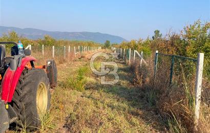 ORTACA TEPEARASI 119 ADA 2 PARSELDE 2 ADET 300 M² KOOPERATİF HİSSESİ