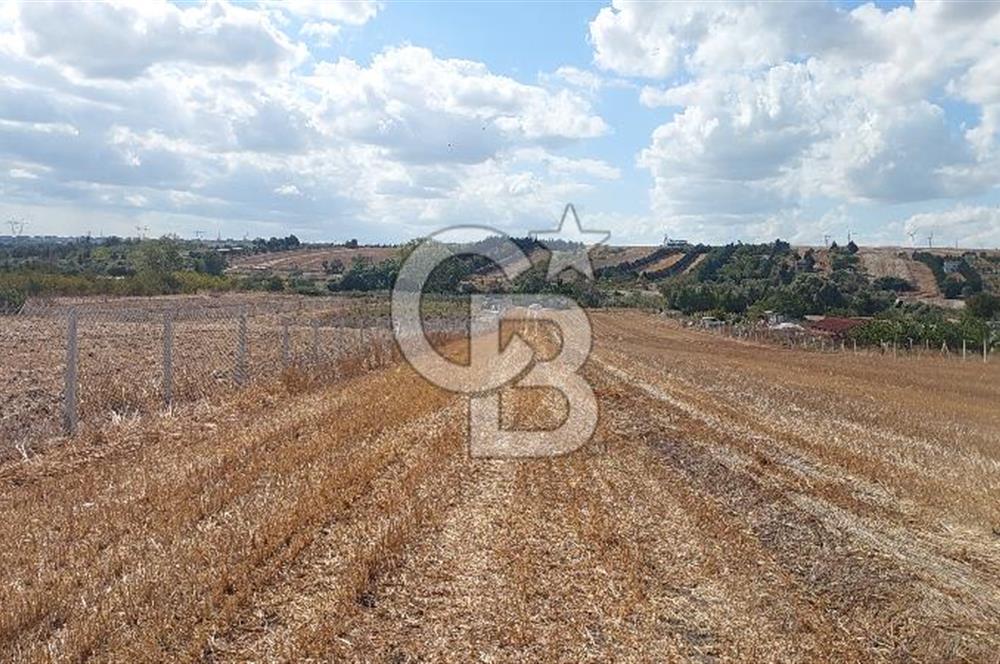 İstanbul Silivri Çeltik'te Satılık 6857 M2 Muhteşem Tarla.