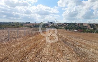 İstanbul Silivri Çeltik'te Satılık 6857 M2 Muhteşem Tarla.