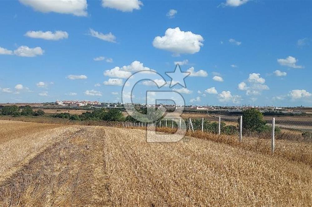 İstanbul Silivri Çeltik'te Satılık 6857 M2 Muhteşem Tarla.