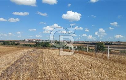 İstanbul Silivri Çeltik'te Satılık 6857 M2 Muhteşem Tarla.