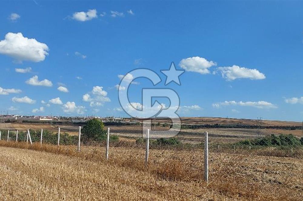 İstanbul Silivri Çeltik'te Satılık 6857 M2 Muhteşem Tarla.