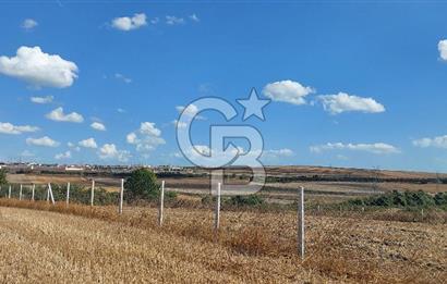 İstanbul Silivri Çeltik'te Satılık 6857 M2 Muhteşem Tarla.