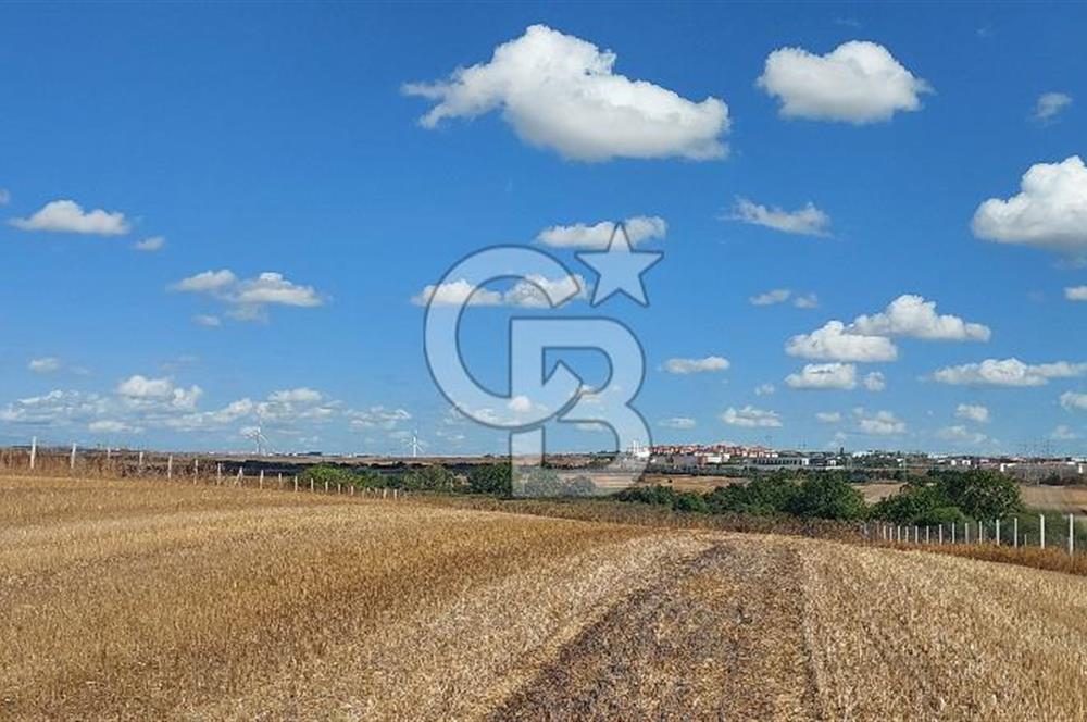 İstanbul Silivri Çeltik'te Satılık 6857 M2 Muhteşem Tarla.