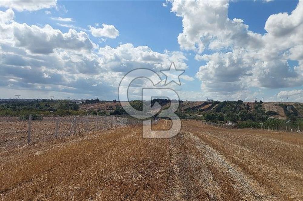 İstanbul Silivri Çeltik'te Satılık 6857 M2 Muhteşem Tarla.
