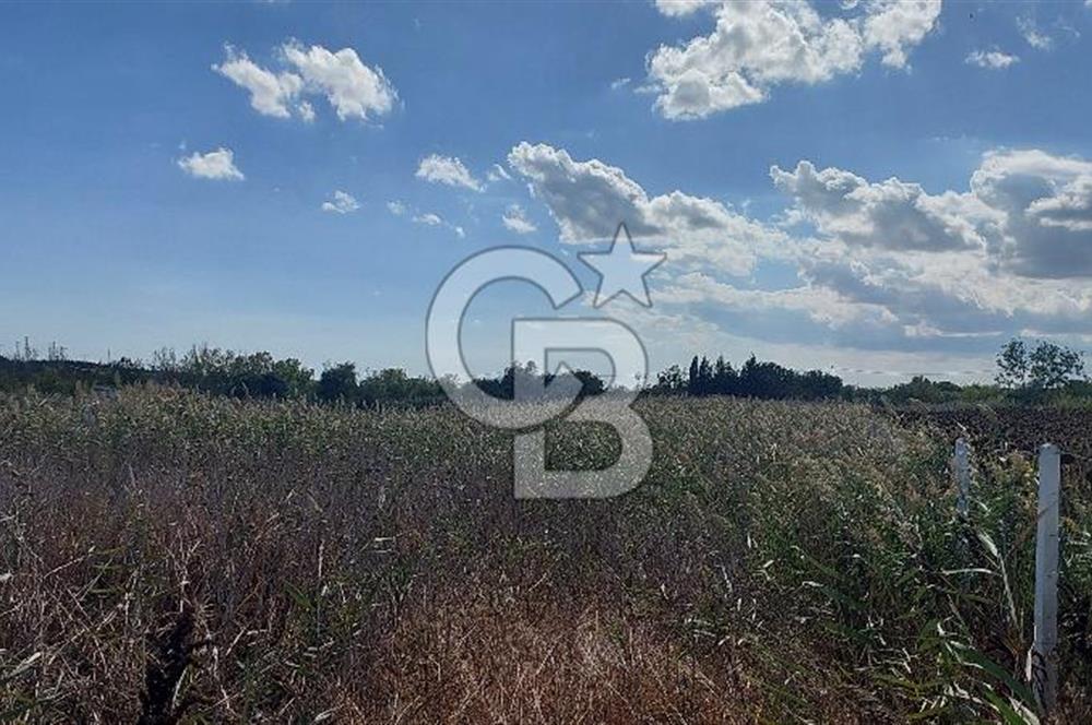 İstancul Silivri Çeltik Mah. Tem Otoyoluna Çok yakın Satılık 1082 M2 Tarla